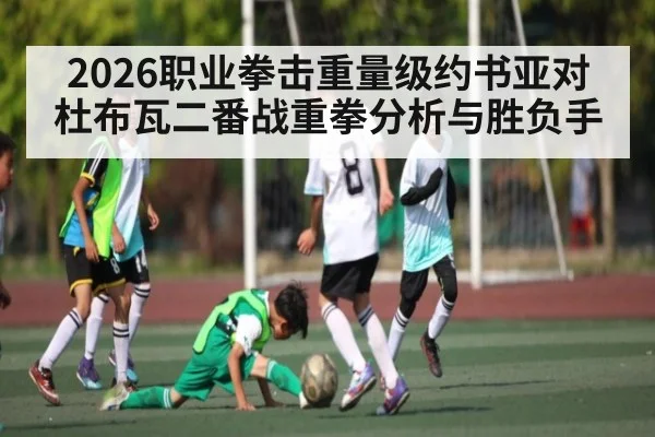 2026职业拳击重量级约书亚对杜布瓦二番战重拳分析与胜负手